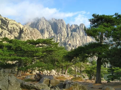 Les Aiguilles de Bavella