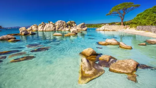 Plage de Palombaggia