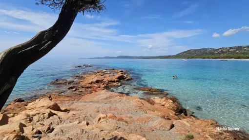 Palombaggia la Bella !