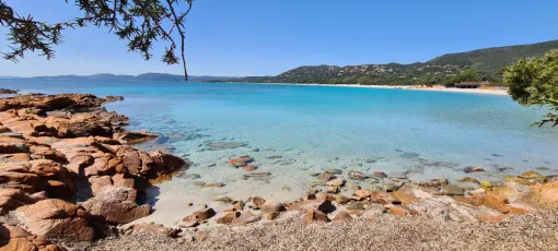 Plage de Palombaggia