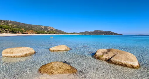Tamaricciu, une splendeur !! à 5mn en voiture de chez nous ! 
