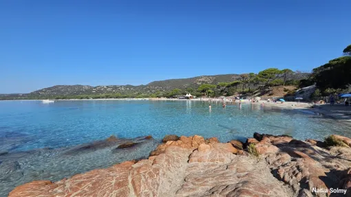 Palombaggia Porto Vecchio en Corse 