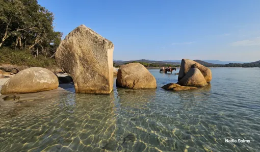 Santa Giulia Plage située à 7mn en voiture de nos locations