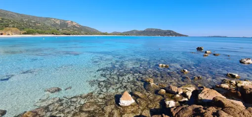 Tamaricciu, une splendeur !! à 5mn en voiture de chez nous ! 