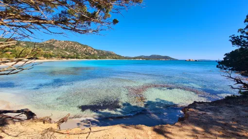 Folaca Plage située à 800m de chez nous, parking gratuit.