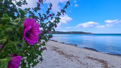 Santa Giulia Plage située à 7mn en voiture de nos locations