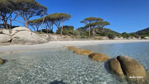Vos vacances au calme à Rocca Rossa, Porto Vecchio, entre Palombaggia et Santa Giulia en Corse., Porto-Vecchio, Locations Rocca Rossa Porto-Vecchio Corse