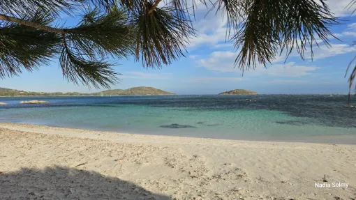 Nos locations Rocca Rossa vous proposent une piscine et un jacuzzi gratuitement, Porto-Vecchio, Locations Rocca Rossa Porto-Vecchio Corse