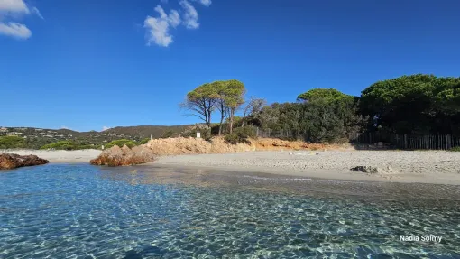 Découvrez nos prestations gratuites incluses dans nos tarifs, Porto-Vecchio, Locations Rocca Rossa Porto-Vecchio Corse