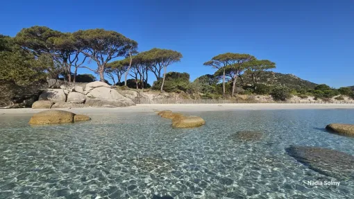 La team Rocca Rossa vous accueille avec chaleur et confort, Porto-Vecchio, Locations Rocca Rossa Porto-Vecchio Corse