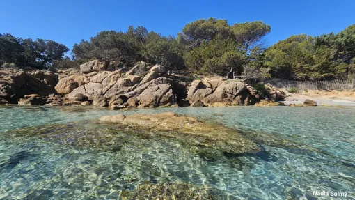 Découvrez nos locations Roccaros 3 *** à Porto-Vecchio en Corse, Porto-Vecchio, Locations Rocca Rossa Porto-Vecchio Corse