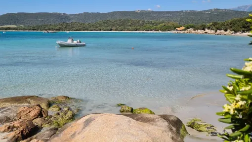 Locationss touristiques en Corse à Porto-Vecchio, Porto-Vecchio, Locations Rocca Rossa Porto-Vecchio Corse