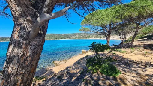 Location de vacances en Corse à Porto Vecchio Palombaggia, Porto-Vecchio, Locations Rocca Rossa Porto-Vecchio Corse