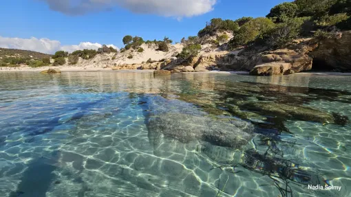Location d'hébergement de vacances en Corse à Porto Vecchio, Porto-Vecchio, Locations Rocca Rossa Porto-Vecchio Corse