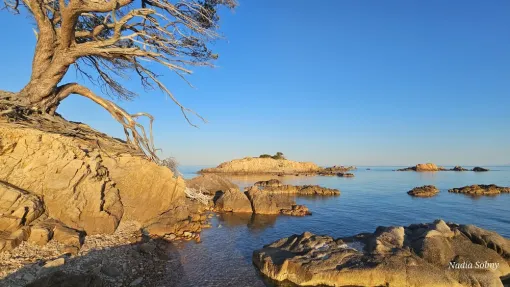 Vacances de rêve à Porto-Vecchio en Corse, louez votre havre de paix à Roca Rossa, Porto-Vecchio, Locations Rocca Rossa Porto-Vecchio Corse