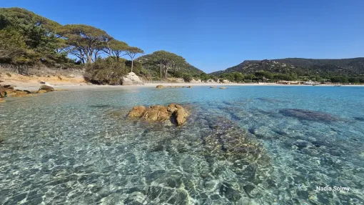 Où loger à Porto-Vecchio en Corse ? Pourquoi choisir la résidence Roca Rossa, Porto-Vecchio, Locations Rocca Rossa Porto-Vecchio Corse