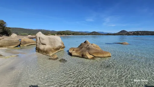 Guide vacances : réussir son séjour à Porto-Vecchio (Roca Rossa) en Corse, Porto-Vecchio, Locations Rocca Rossa Porto-Vecchio Corse