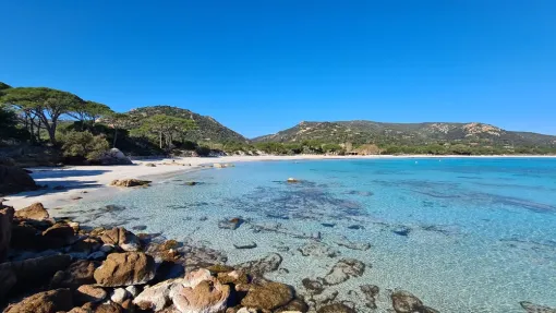 Vacances en Corse à Porto Vecchio, entre Palombaggia et Santa Giulia, Porto-Vecchio, Locations Rocca Rossa Porto-Vecchio Corse