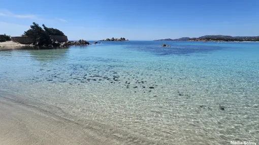 Vacances en Corse à Porto Vecchio Palombaggia Santa Giulia, Porto-Vecchio, Locations Rocca Rossa Porto-Vecchio Corse