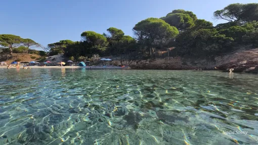 Nouveauté 2026 : borne de recharge pour voitures électriques chez Locations Rocca Rossa, Porto-Vecchio, Locations Rocca Rossa Porto-Vecchio Corse