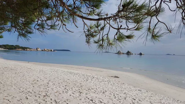 Réserver une balade en mer privée pour 5 personnes depuis le port de Porto-Vecchio, Porto-Vecchio, Locations Rocca Rossa Porto-Vecchio Corse