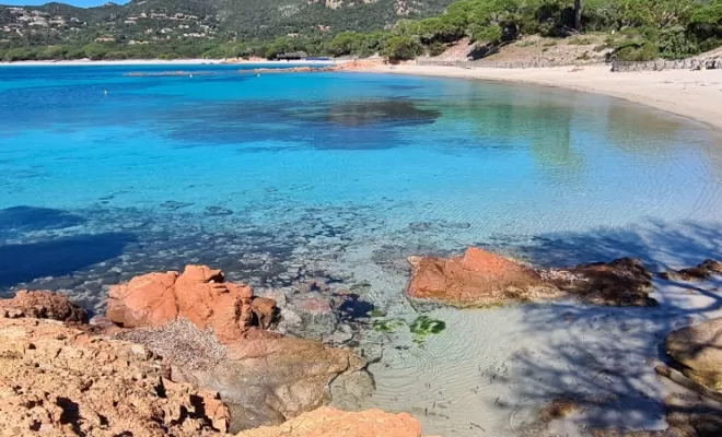Plage de Palombaggia 