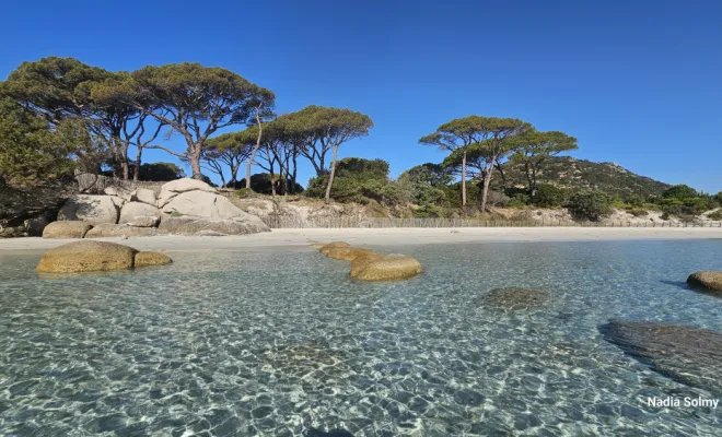 Tamaricciu Palombaggia à 5mn en voiture de chez nous.