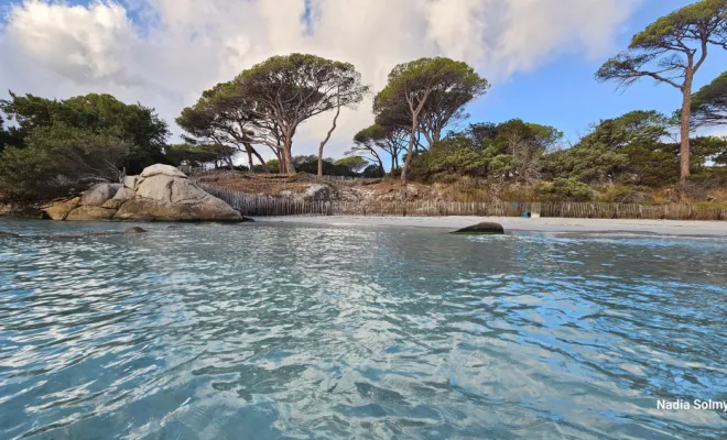 Tamaricciu Palombaggia à 5mn en voiture de chez nous.