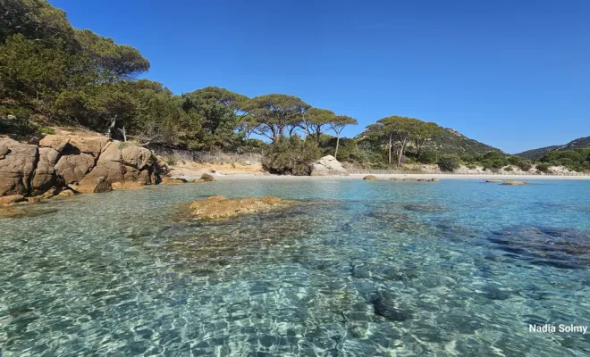 Les locations Rocca Rossa sont enfin ouvertes depuis le 4 avril 2026, Porto-Vecchio, Locations Rocca Rossa Porto-Vecchio Corse