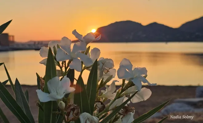 Locations de vacances en Corse à Porto Vecchio Palombaggia Santa Giulia, Porto-Vecchio, Locations Rocca Rossa Porto-Vecchio Corse