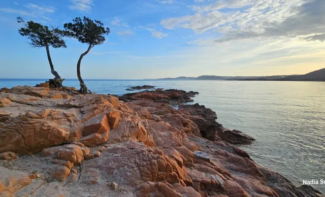 Location Roca Rossa 3 étoiles en Corse à Porto Vecchio Palombaggia et Santa Giulia, Porto-Vecchio, Locations Rocca Rossa Porto-Vecchio Corse